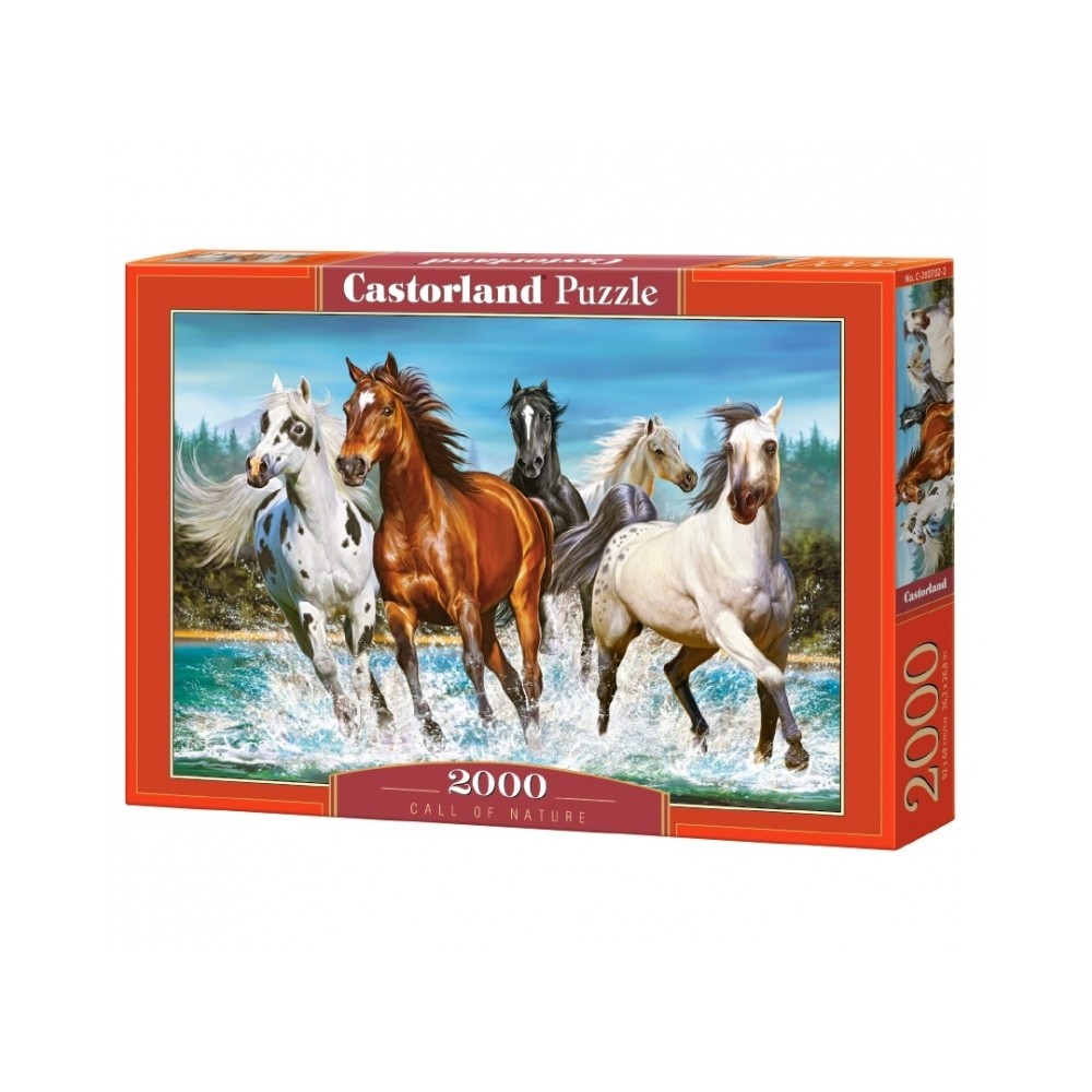 Puzzle 2000 Pcs - Castorland 200009 62.184874