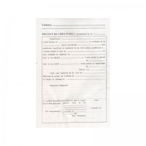 Decont de cheltuieli A5, 100 file 7.563025