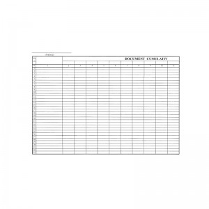 Document cumulativ orizontal, A4, 100 file/top 16.806723