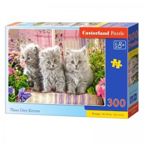 Puzzle 300 Pcs premium - Castorland 30002 26.470588