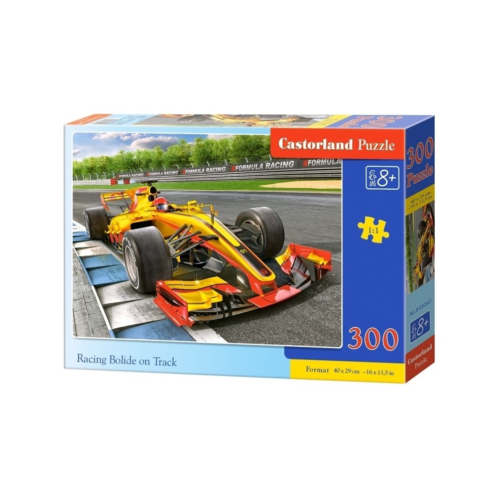 Puzzle 300 Pcs premium - Castorland 30002 26.470588