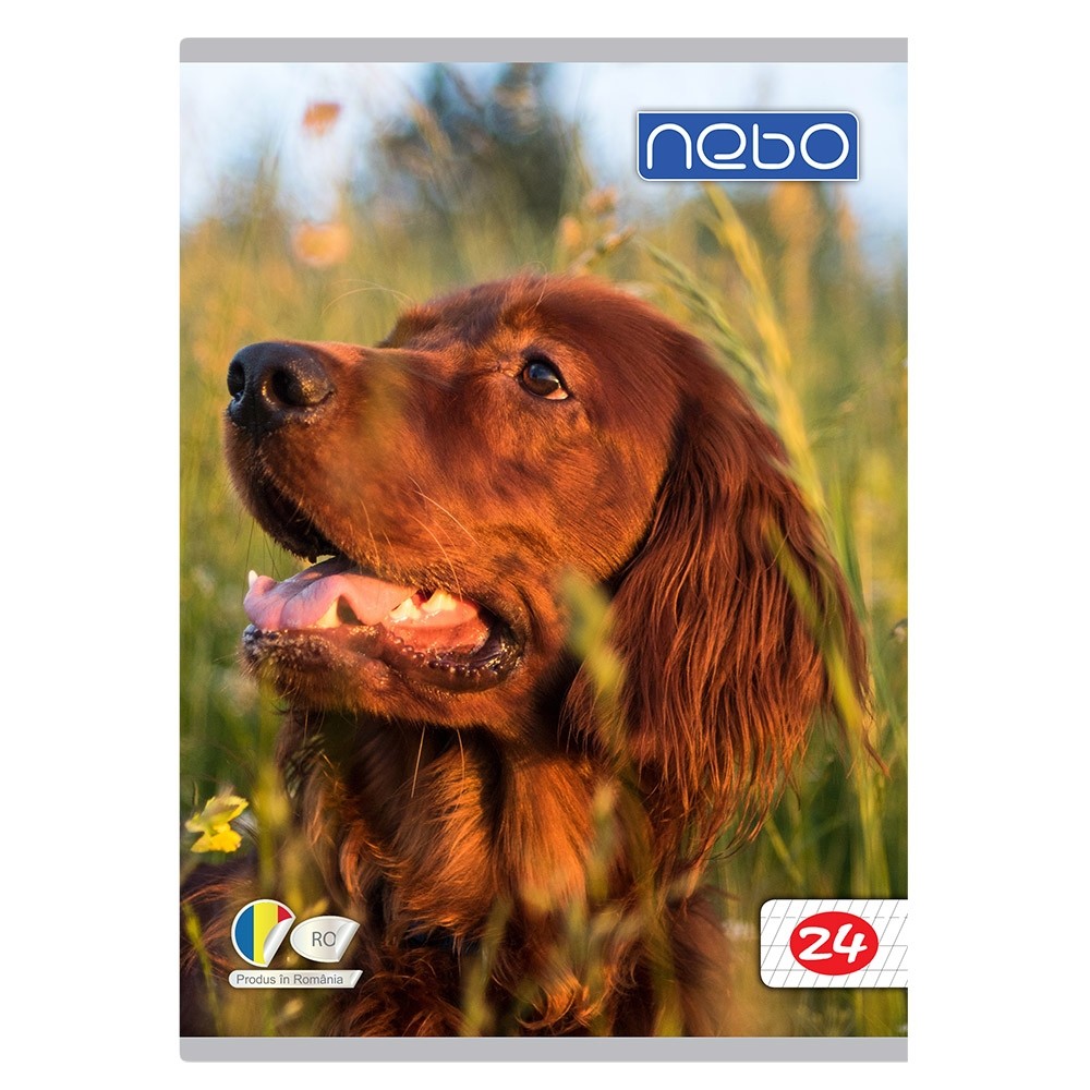 Caiet A5 tip I 24 file - NEBO 16584 1.260504