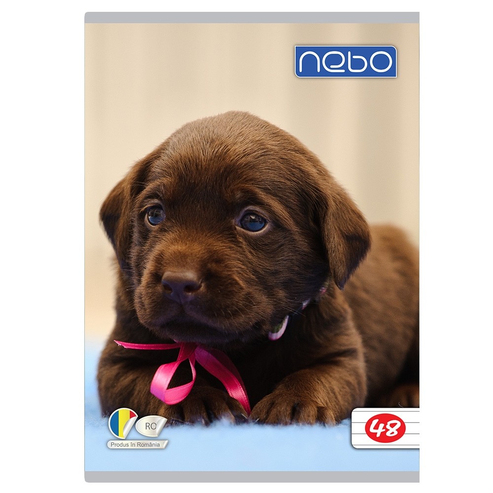 Caiet A5 48 file DR - NEBO 16582 1.680672