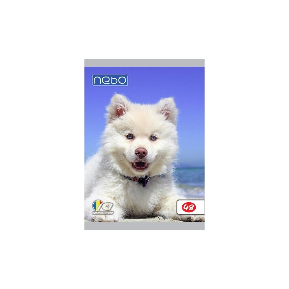 Caiet A5 48 file foi veline - NEBO 16583 1.680672