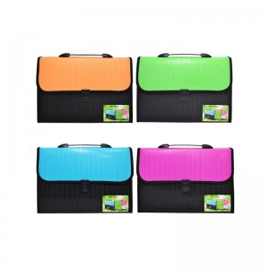 Mapa A4, cu 12 compartimente LTW-A4 21.008403