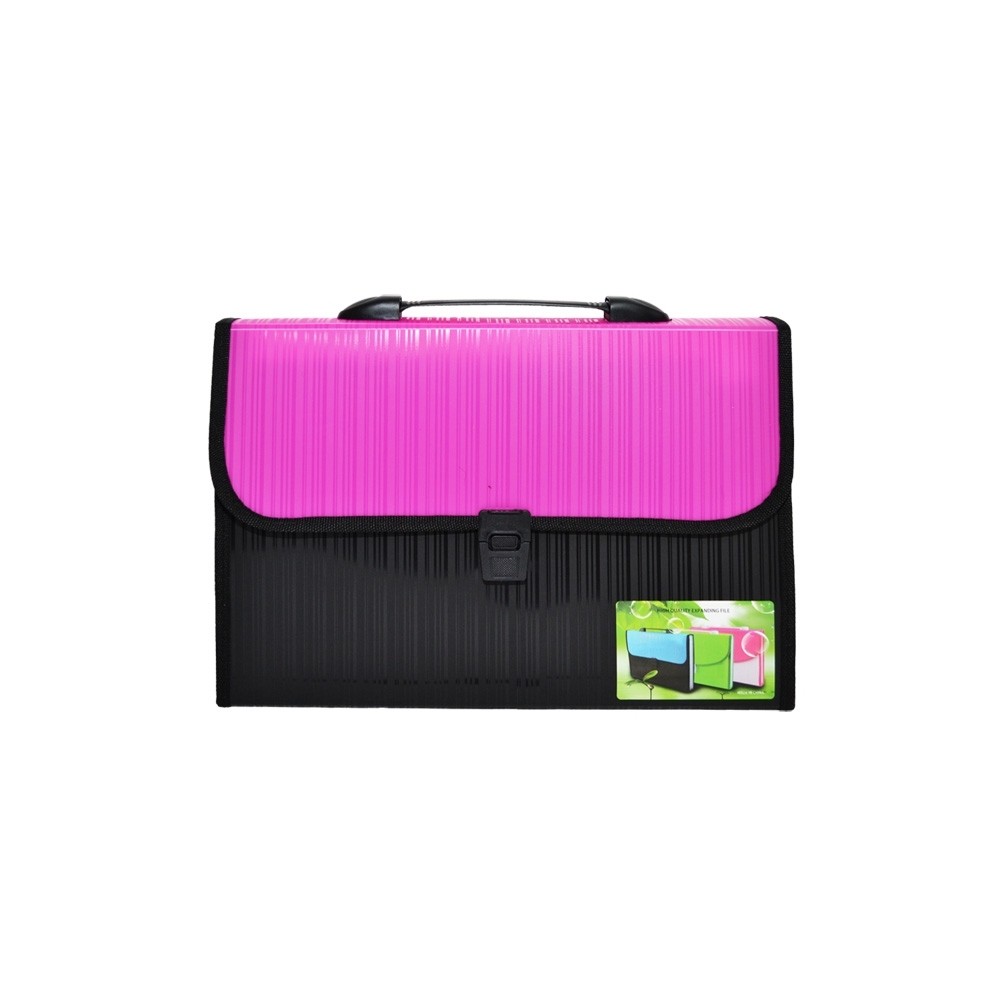 Mapa A4, cu 12 compartimente LTW-A4 21.008403