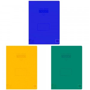 Caiet A4 80 file AR coperta PP - NEBO 16520 7.142857