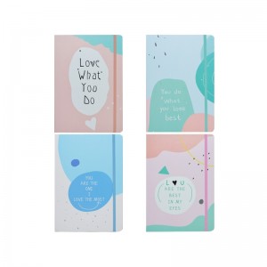 Notes A5 cu elastic, 80 file, bleu/roz 3783-8L 0