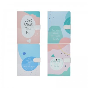 Notes A5 cu magnet, 144 file, bleu/roz 9702L-3 16.806723