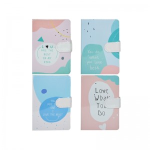 Notes A6 cu magnet, 144 file, bleu/roz 9701S-3 11.764706