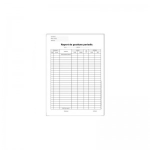 Raport de gestiune periodic, A4, autocopiativ, 2 ex, 100 file 24.369748