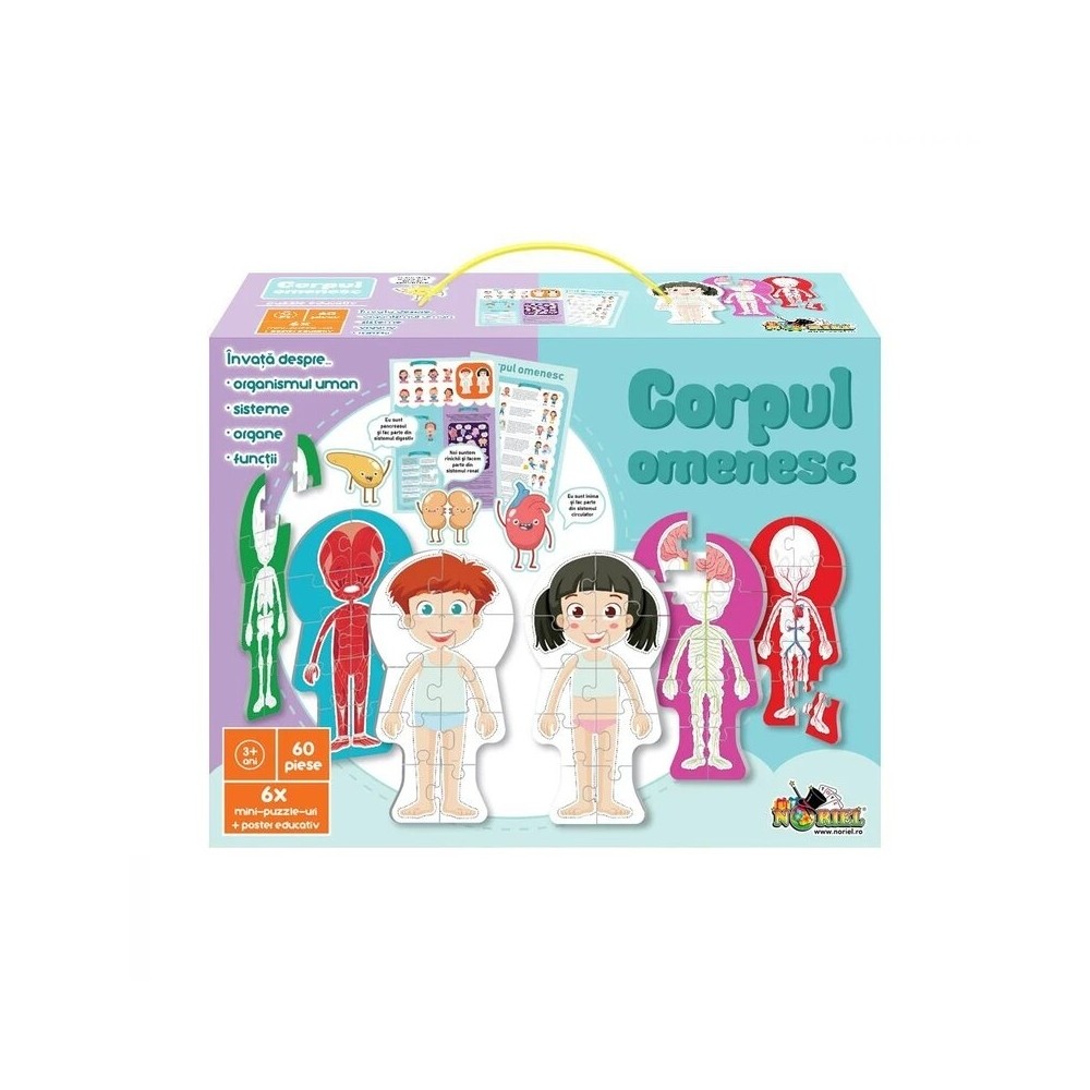 Noriel puzzle - Corpul omenesc NOR5434 42.857143