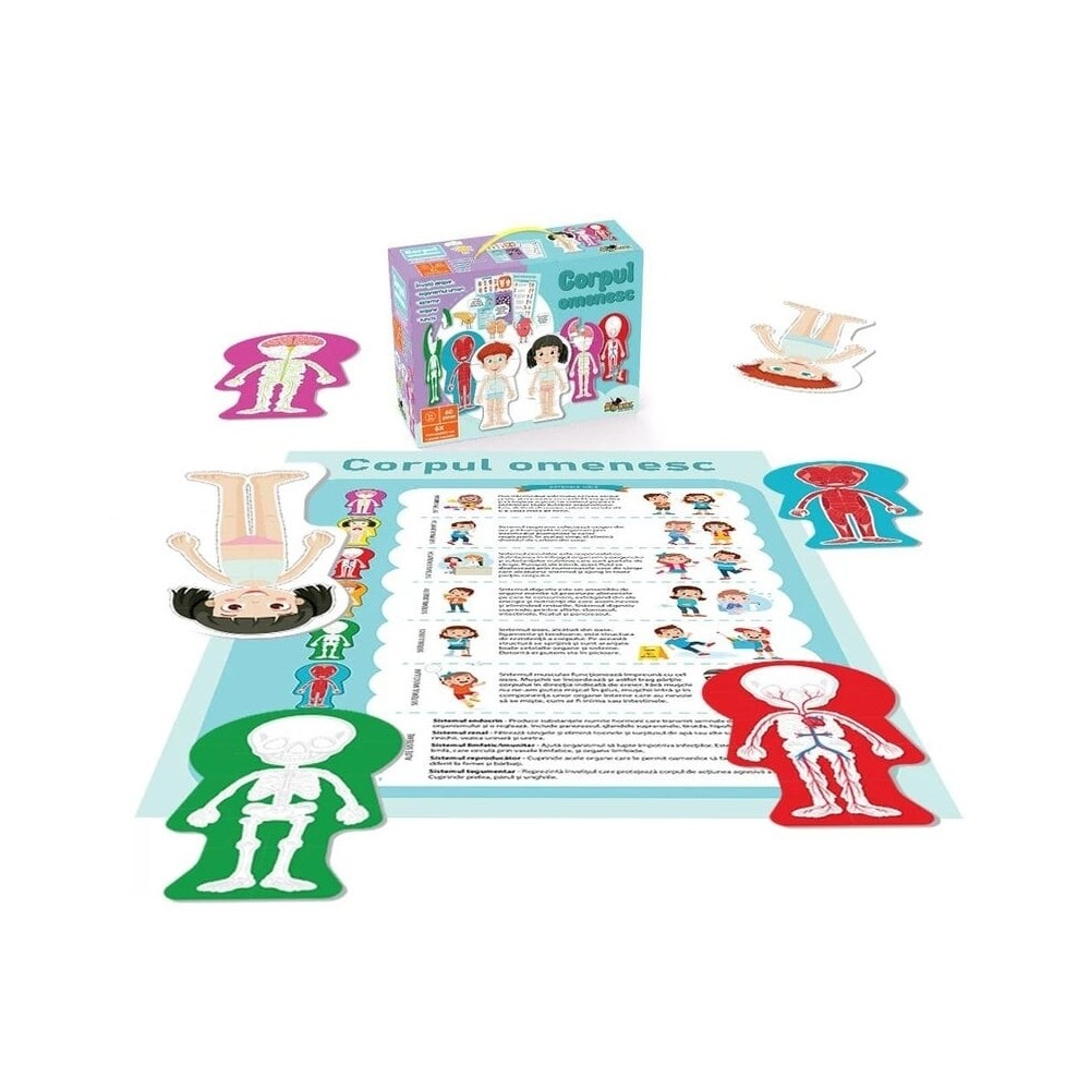 Noriel puzzle - Corpul omenesc NOR5434 42.857143
