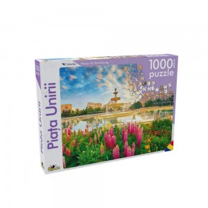 Puzzle 1000 piese Piata Unirii NOR5403 44.537815