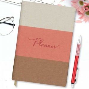 Agenda B5, nedatata, Tricolor R3027 31.932773