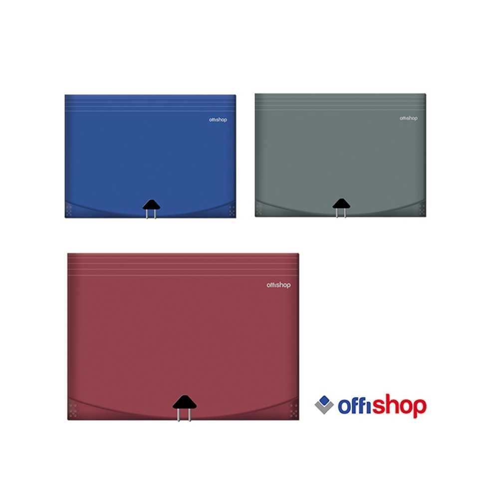 Mapa A4, expandabila, 12 compartimente - OFFISHOP OF313 25.210084